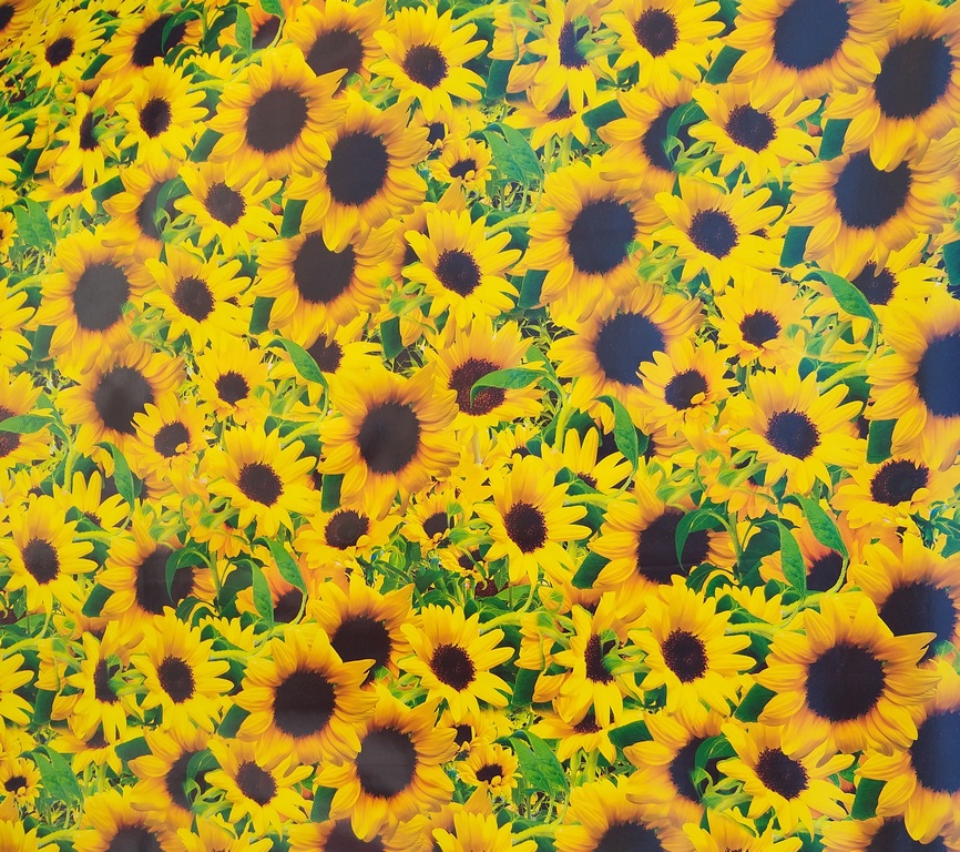 PLAST. MANTEL C/R 0.15MMX54X50M/ROLL GD1296