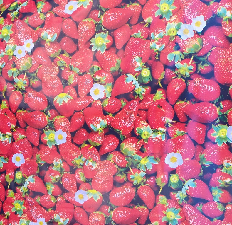 PLAST. MANTEL C/R 0.15MMX54X50M/ROLL GD1513