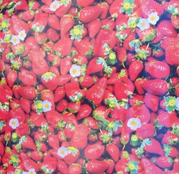 [0001633] PLAST. MANTEL C/R 0.15MMX54X50M/ROLL GD1513