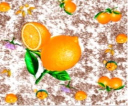 [GD1055K] PLAST. MANTEL C/R 0.15MMX54X50M/ROLL GD1055K